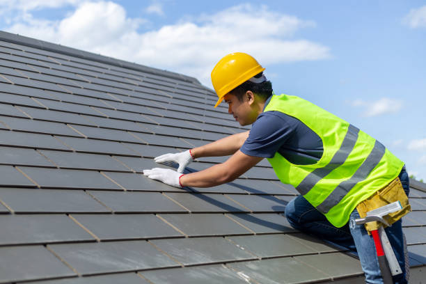Best Roof Gutter Cleaning  in St Charles, MI