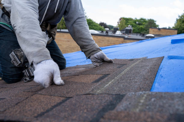 Best Residential Roofing Contractor  in St Charles, MI