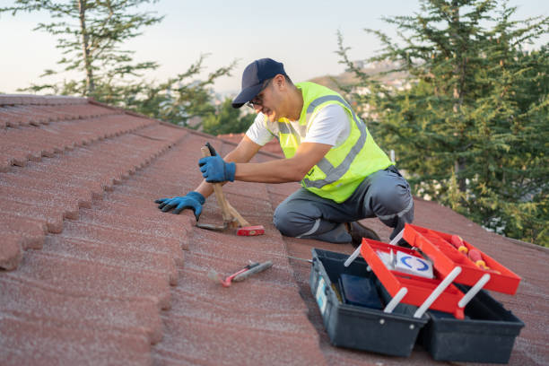 Best Roof Installation Near Me  in St Charles, MI