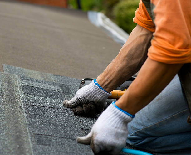 Roof Waterproofing Services in St Charles, MI