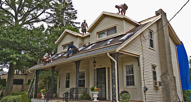 Best Roofing Contractor Near Me  in St Charles, MI