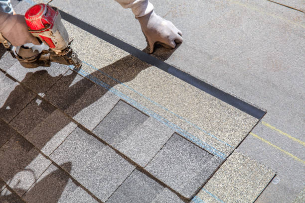Best Roof Leak Repair  in St Charles, MI